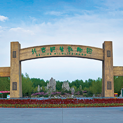 尊凯实业·(中国区)集团公司官网