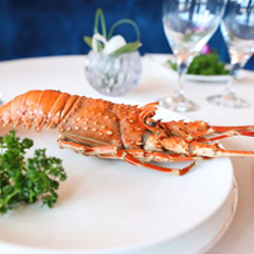 西苑饭馆紫金云顶单人自助